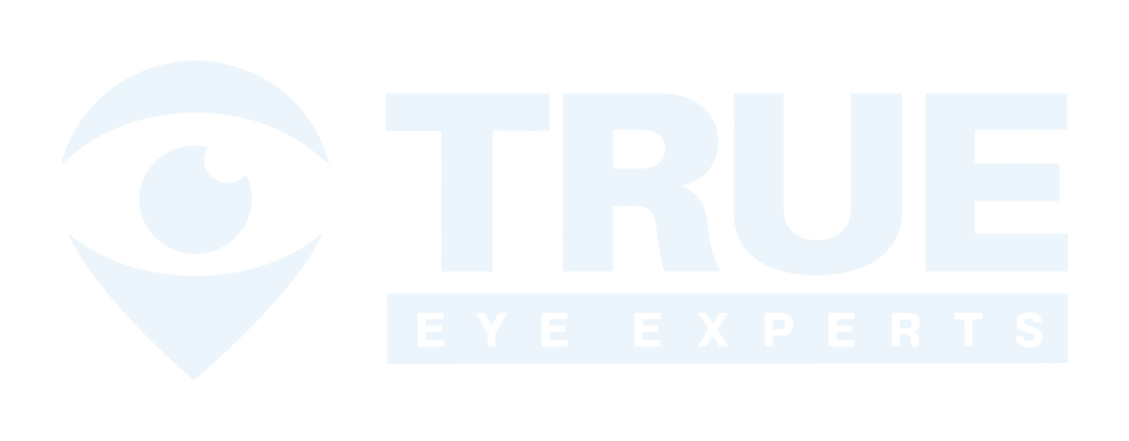 True Eye Experts logo