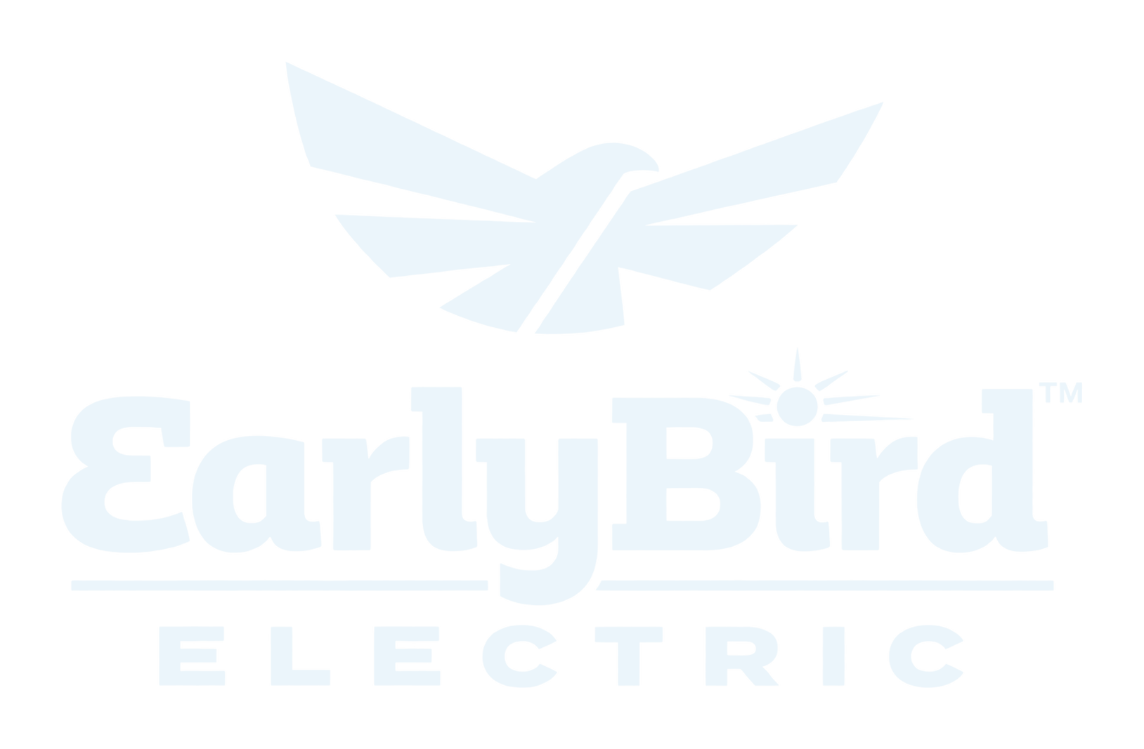 EarlyBird Electric logo